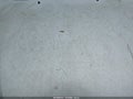2004 Toyota Corolla — photo 6 of 12 | VIN JTDBR32EX42048334