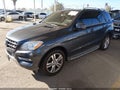2013 Mercedes-Benz ML-Class — photo 2 of 19 | VIN 4JGDA5JB9DA165181