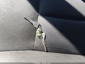2018 Nissan Versa — photo 11 of 13 | VIN 3N1CN7AP4JL810029