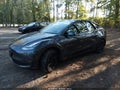 2022 Tesla Model Y — photo 2 of 15 | VIN 7SAYGDEE2NF413494