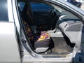 2010 Toyota Corolla — photo 5 of 14 | VIN 1NXBU4EE4AZ312806