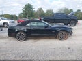 2014 Ford Mustang — photo 13 of 16 | VIN 1ZVBP8FF8E5332919