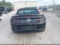 2014 Ford Mustang — photo 16 of 16 | VIN 1ZVBP8FF8E5332919