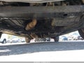 2005 Toyota Sienna — photo 13 of 17 | VIN 5TDBA22CX5S035058