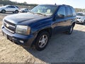 2008 Chevrolet Trailblazer — photo 2 of 16 | VIN 1GNDT13S882201048