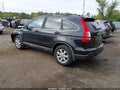 2009 Honda CR-V — photo 3 of 16 | VIN 5J6RE48739L018287