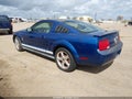 2009 Ford Mustang — photo 3 of 11 | VIN 1ZVHT80N095119216