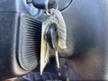 2013 Chevrolet Impala — photo 11 of 11 | VIN 2G1WG5E30D1220604