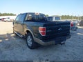 2013 Ford F-150 — photo 3 of 17 | VIN 1FTFW1CFXDFB15058
