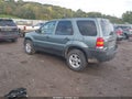 2007 Ford Escape — photo 3 of 17 | VIN 1FMYU03137KB69743