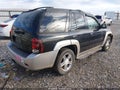 2008 Chevrolet Trailblazer — photo 4 of 12 | VIN 1GNDT13S782222103
