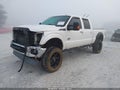 2016 Ford F-250 — photo 2 of 16 | VIN 1FT7W2BT2GEA13653
