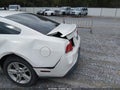 2010 Ford Mustang — photo 12 of 14 | VIN 1ZVBP8AN2A5146432