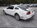2010 Ford Mustang — photo 3 of 14 | VIN 1ZVBP8AN2A5146432