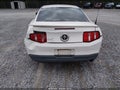 2010 Ford Mustang — photo 6 of 14 | VIN 1ZVBP8AN2A5146432