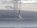2010 Toyota Prius — photo 6 of 16 | VIN JTDKN3DU2A0175179
