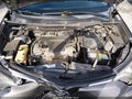 2016 Toyota RAV4 — photo 10 of 17 | VIN 2T3BFREV4GW504587