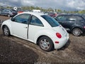 1998 Volkswagen Beetle — photo 3 of 16 | VIN 3VWBB61C5WM023937
