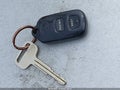 2004 Toyota Corolla — photo 11 of 11 | VIN 1NXBR38E74Z246005