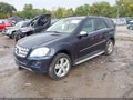 2010 Mercedes-Benz ML-Class — photo 2 of 11 | VIN 4JGBB8GB0AA571925