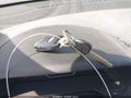 2010 Hyundai Elantra — photo 11 of 11 | VIN KMHDU4AD4AU181012