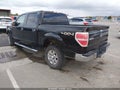 2013 Ford F-150 — photo 3 of 20 | VIN 1FTFW1EF4DFA17494