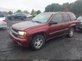 2004 Chevrolet Trailblazer — photo 2 of 11 | VIN 1GNDT13S842275368