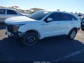 2025 Kia Sorento — photo 18 of 19 | VIN 5XYRG4JC8SG389454