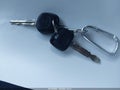2008 Toyota Tacoma — photo 11 of 16 | VIN 5TEUU42N18Z526624