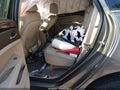2011 Cadillac SRX — photo 8 of 16 | VIN 3GYFNAEY5BS651226