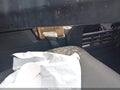 2025 Toyota Tacoma — photo 20 of 21 | VIN 3TYJDAHN5ST020120