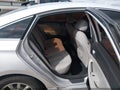 2018 Hyundai Sonata — photo 8 of 16 | VIN 5NPE24AF3JH618377