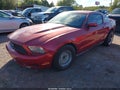 2010 Ford Mustang — photo 2 of 11 | VIN 1ZVBP8AN7A5146684