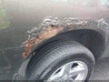 2012 Ram 1500 — photo 19 of 20 | VIN 1C6RD7LTXCS253045