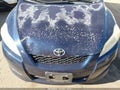 2009 Toyota Matrix — photo 6 of 16 | VIN 2T1KU40E99C077260