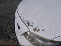 2010 Toyota Corolla — photo 6 of 16 | VIN 1NXBU4EE8AZ182996