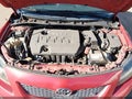 2010 Toyota Corolla — photo 10 of 11 | VIN 2T1BU4EE5AC446788