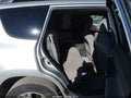 2011 Toyota RAV4 — photo 8 of 16 | VIN 2T3BF4DV0BW168420