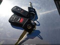 2005 Nissan Pathfinder — photo 11 of 11 | VIN 5N1AR18W95C762334