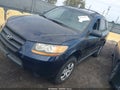2009 Hyundai Santa Fe — photo 2 of 11 | VIN 5NMSG73D09H263467