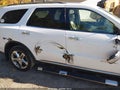 2013 Dodge Durango — photo 20 of 21 | VIN 1C4SDJET1DC563083