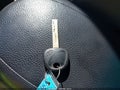 2013 Hyundai Veloster — photo 11 of 11 | VIN KMHTC6AD2DU152185