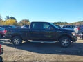 2010 Ford F-150 — photo 13 of 16 | VIN 1FTEX1EW4AKE81588