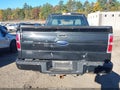 2010 Ford F-150 — photo 16 of 16 | VIN 1FTEX1EW4AKE81588