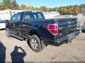 2010 Ford F-150 — photo 3 of 16 | VIN 1FTEX1EW4AKE81588