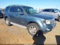 2010 Ford Escape Hybrid — photo 1 of 11 | VIN 1FMCU4K35AKB31474