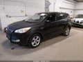 2014 Ford Escape — photo 2 of 10 | VIN 1FMCU9GX5EUD08303