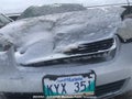 Photo 10 of 11 — 2007 Chevrolet Malibu Limited