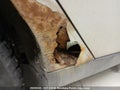Photo 5 of 9 — 2012 Ford Focus
