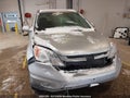 Photo 6 of 16 — 2010 Honda CR-V